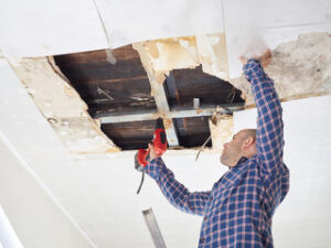 Ceiling Repair